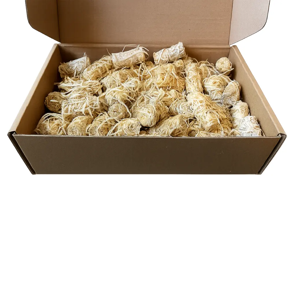 Carton 170 allume-feux - 2.webp