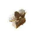 Carton 170 allume-feux - 4.webp