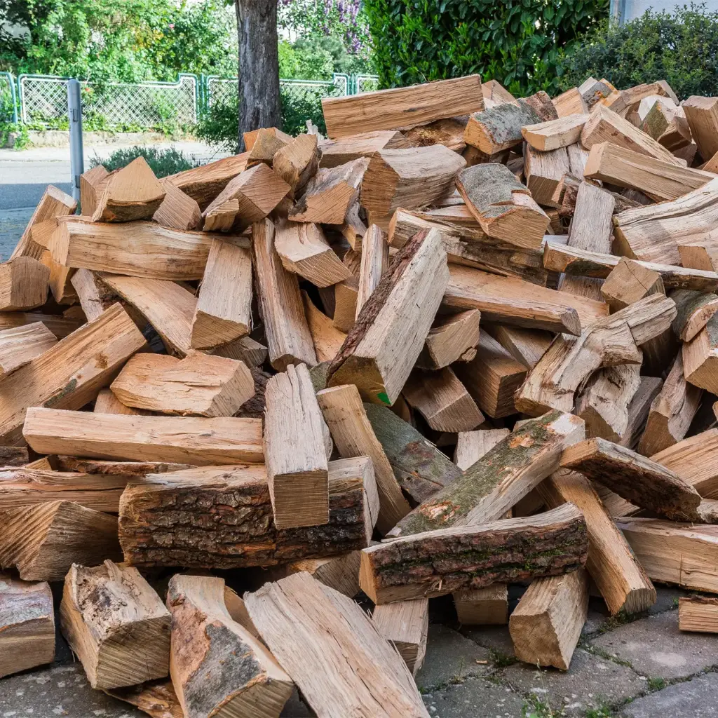 Bois de chauffage 25cm - Bois en Vrac - Bûches sèches - 1 stère