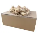 Allume-feux naturel laine de bois et cire végétale - Boîte de 170 pièces